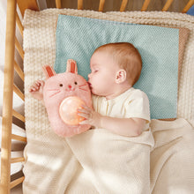 Cargar imagen en el visor de la galería, Amigo con Luz y Musical Huggy Roro Hape